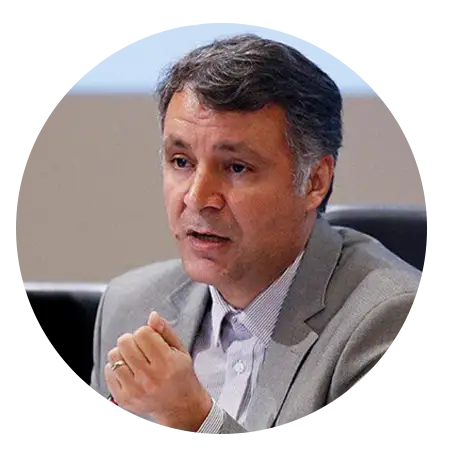 محمد فاضلی - سیاستمدار و نویسنده