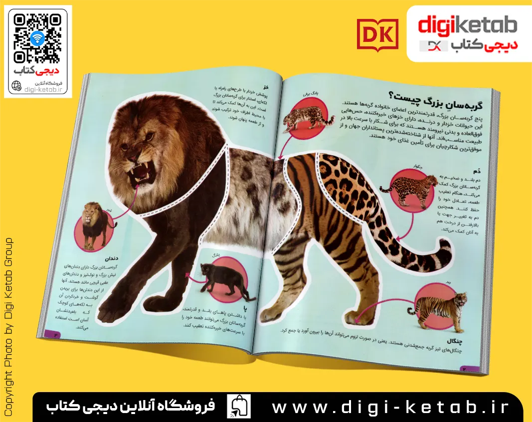 بهترین و کاملترین کتاب درباره گربه سانان بزرگ و کوچک مصور کودک نوجوان