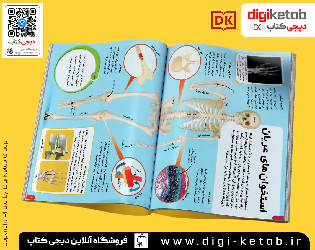معرفی و خرید کتاب بدن انسان مصور برای بچه ها 