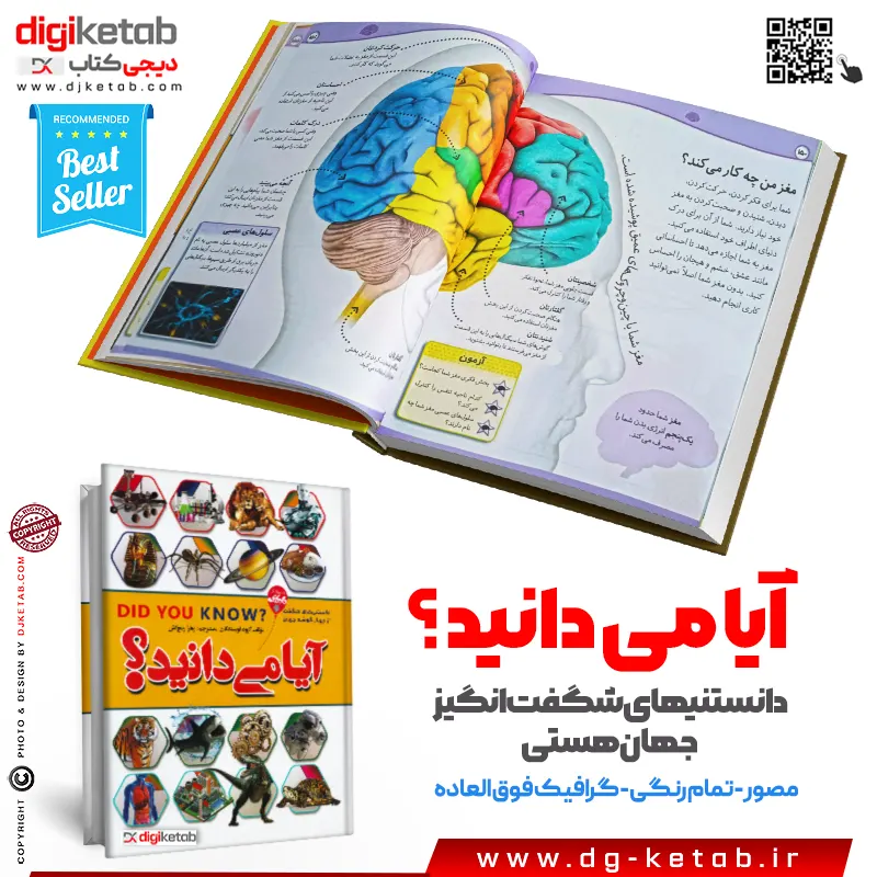 نمونه صفحه کتاب دانستنی‌های DK