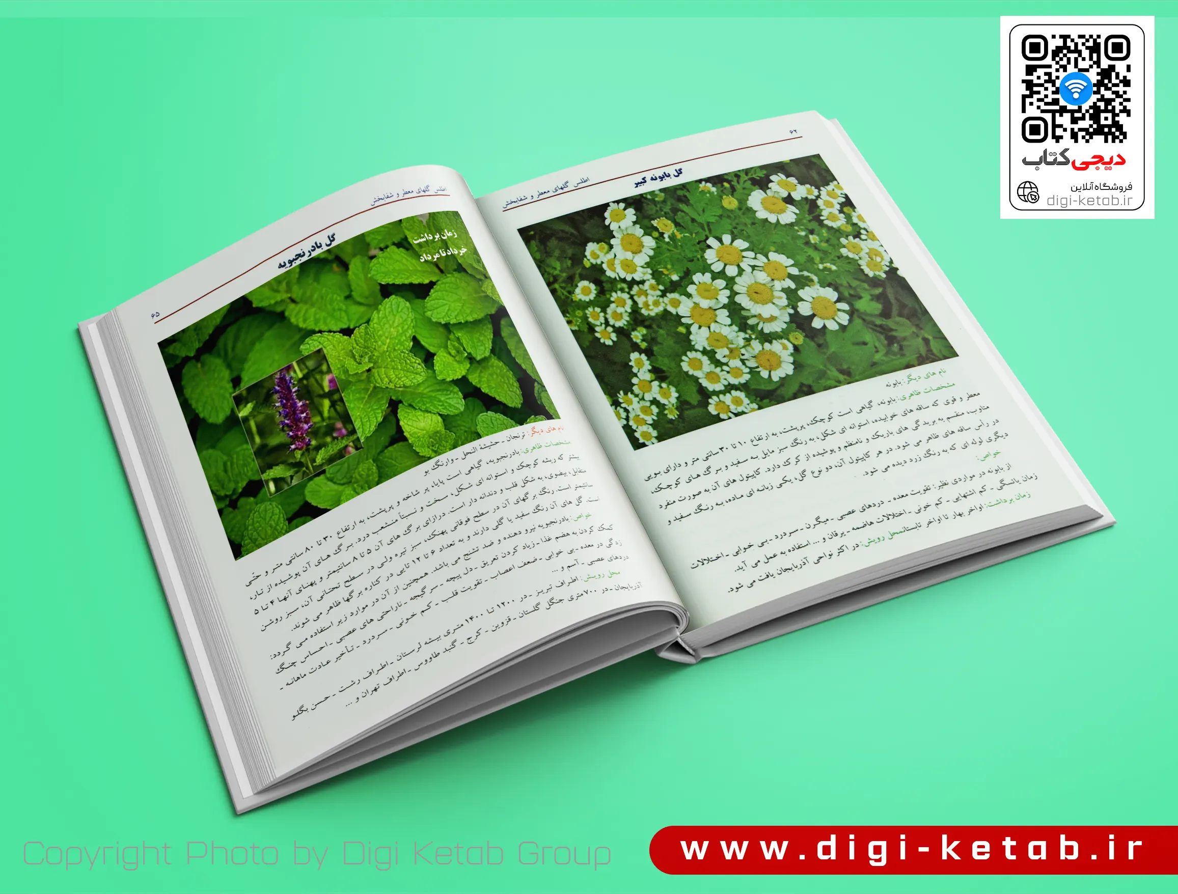 نمونه صفحات داخل کتاب اطلس گیاهان دارویی - تصویر اول