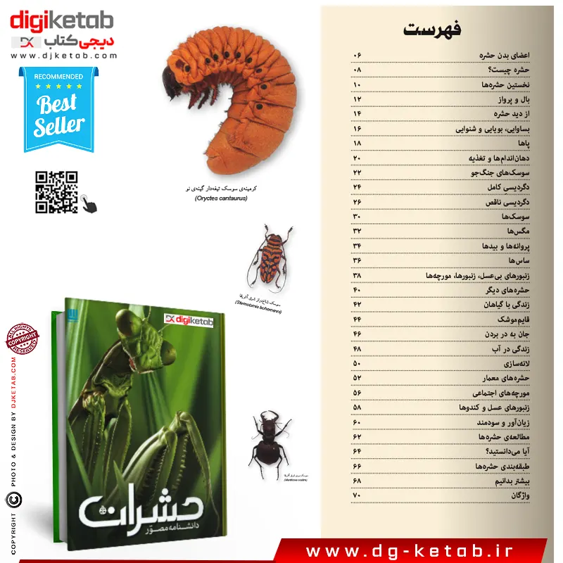 کتاب درباره حشرات (دانشنامه مصور حشرات)
