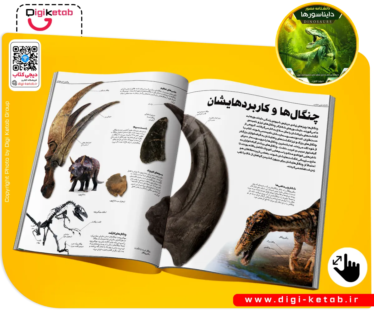 بسته‌بندی و سه بعدی سازی کتاب های دی کی ایویتنس اعلایی