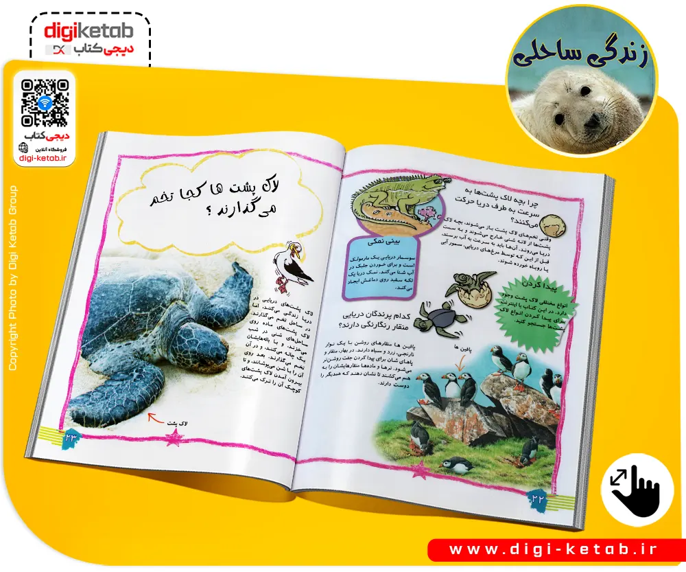 کتاب-زندگی-ساحلی--آنا-کلیبورن-مهدی-رمضانی-نشر-فرشته