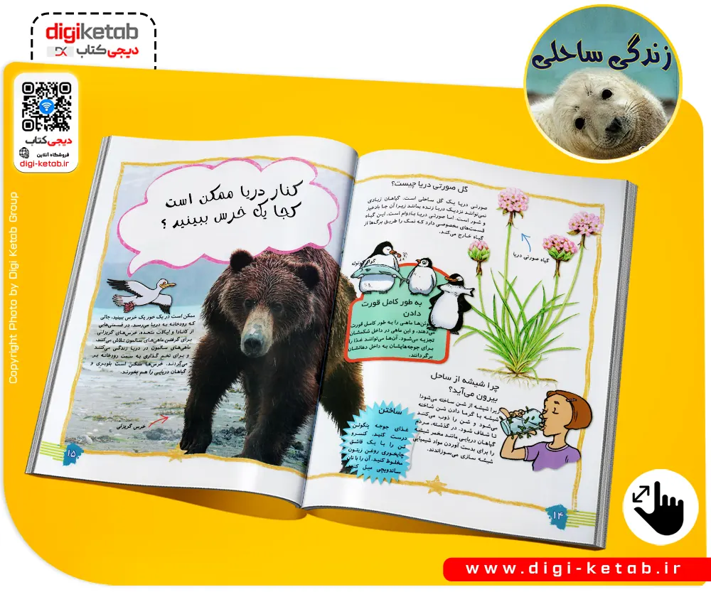 کتاب-زندگی-ساحلی--آنا-کلیبورن-مهدی-رمضانی-نشر-فرشته