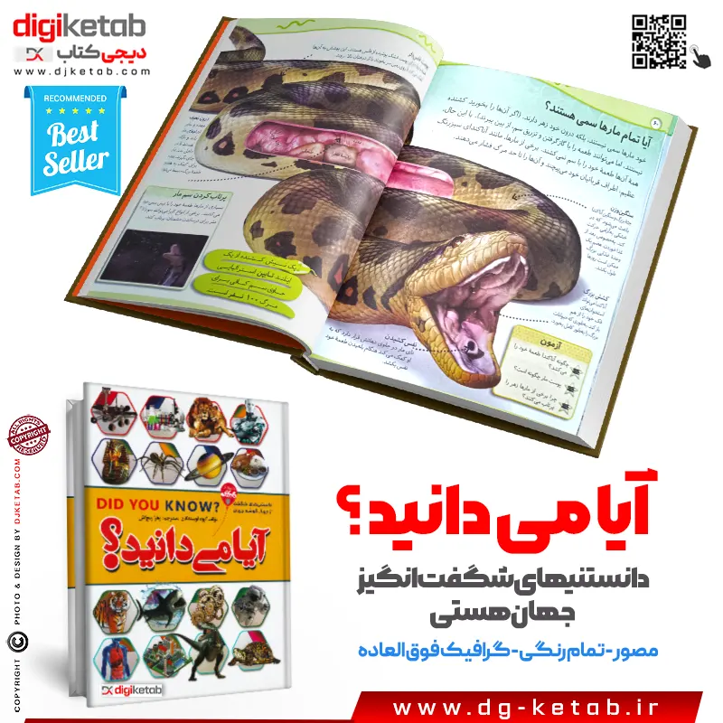 تصاویر گرافیکی و آموزشی کتاب DK
