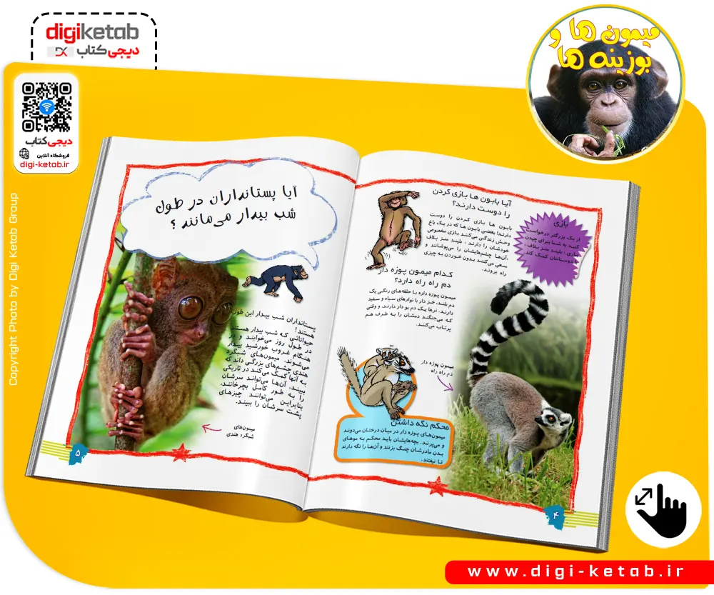 بهترین کتاب درباره میمون ها مناسب کودکان