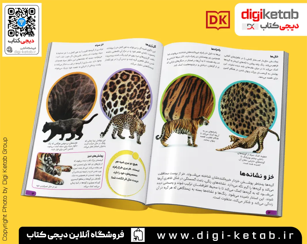بهترین کتاب درباره گربه سانان مصور مناسب دانش آموزان کودک نوجوان