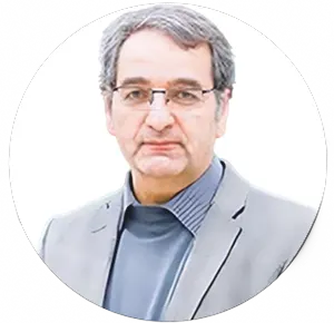 محمود فتوحی