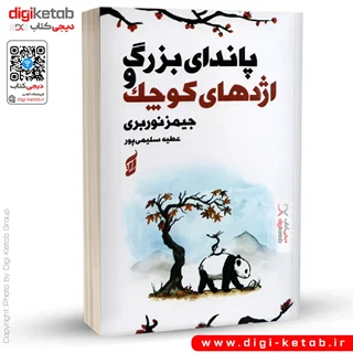 کتاب پاندای بزرگ و اژدهای کوچک (نسخه رنگی)