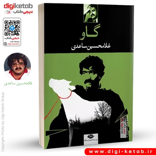 کتاب شب نشینی باشکوه | غلامحسین ساعدی